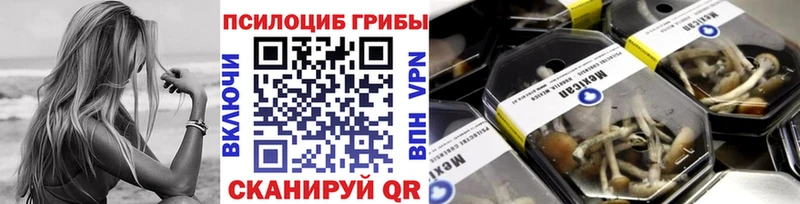 Галлюциногенные грибы GOLDEN TEACHER  дарнет шоп  MEGA   Николаевск-на-Амуре 